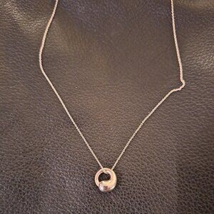 Tiffany & Co Silver Elsa Peretti Eternal Circle Pendant with Necklace
